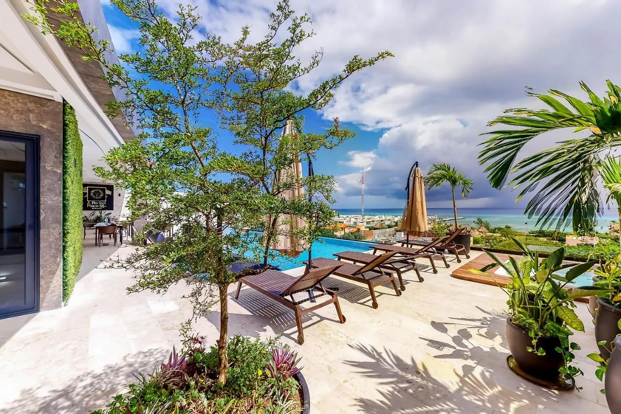Perfect Place 311 Playa del Carmen Mexico